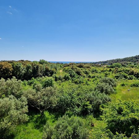 Villa Mareonda Ρόβινι Εξωτερικό φωτογραφία