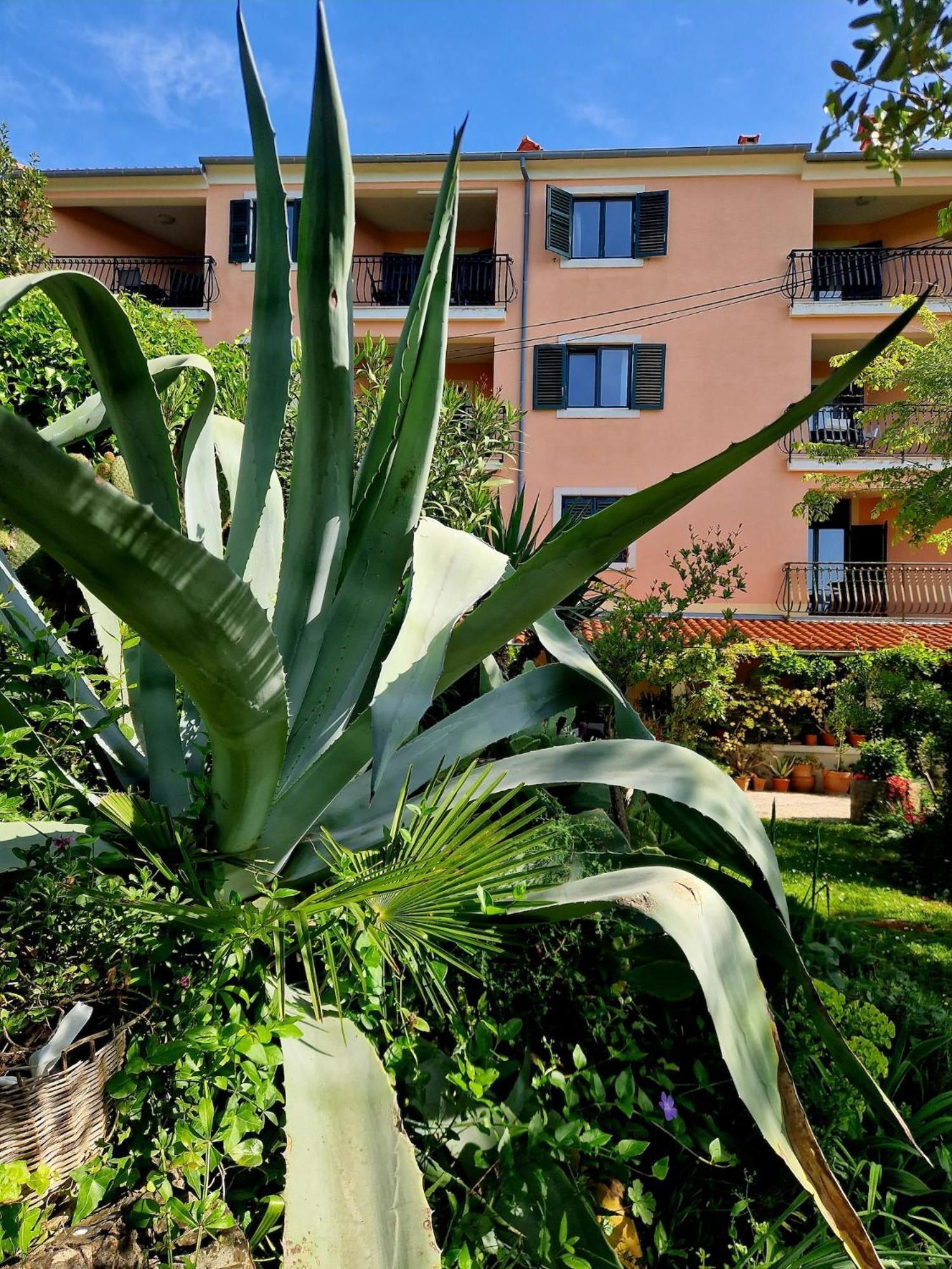 Villa Mareonda Ρόβινι Εξωτερικό φωτογραφία